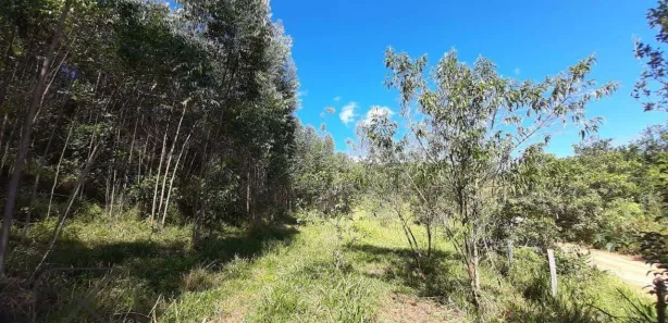 Fazenda / Sítio / Chácara à venda, 350900m² no Ponte Alta, Guararema