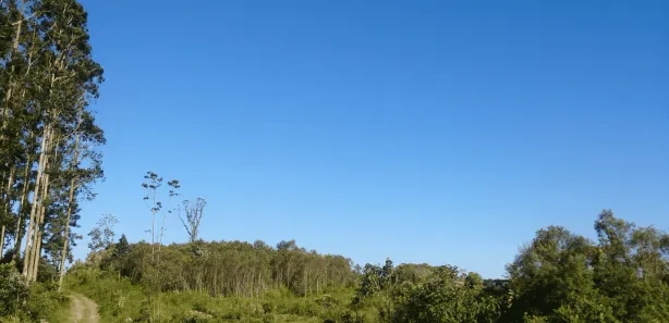 Fazenda / Sítio / Chácara com 3 Quartos à venda, 5081330m² no Centro, Campo Largo