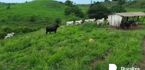 Fazenda / Sítio / Chácara à venda, 416m² no , Bernardo Sayão