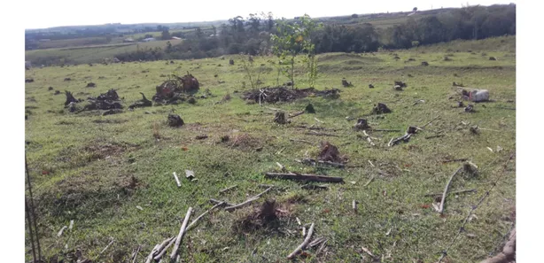 Fazenda / Sítio / Chácara com 1 Quarto à venda, 47m² no Vila Cesari Purgato, Mombuca