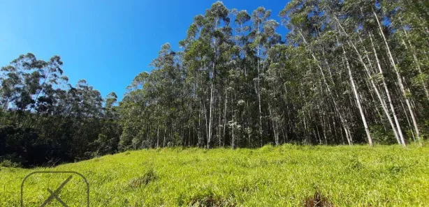 Fazenda / Sítio / Chácara à venda, 350900m² no Ponte Alta, Guararema