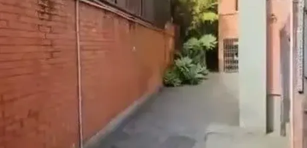 Prédio Inteiro para alugar, 10m² no Quissama, Petrópolis