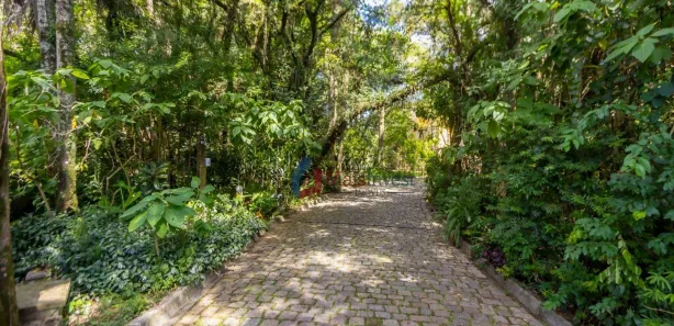 Conjunto Comercial / Sala para alugar, 169m² no Jardim Cláudia, Pinhais