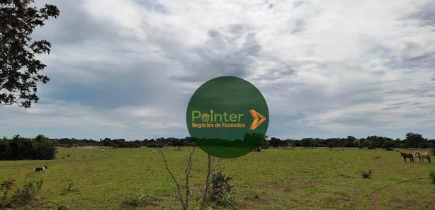 Fazenda / Sítio / Chácara à venda, 13552000m² no , Formoso do Araguaia