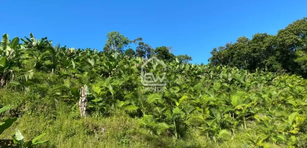 Fazenda / Sítio / Chácara com 1 Quarto à venda, 101850m² no Sete de Janeiro, Massaranduba