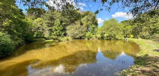 Fazenda / Sítio / Chácara com 2 Quartos à venda, 26500m² no Itaqui de Cima, Campo Largo