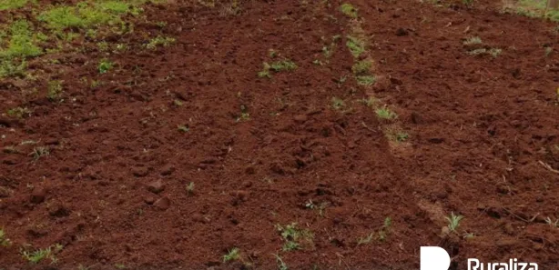Fazenda / Sítio / Chácara à venda, 242m² no , Cristalândia