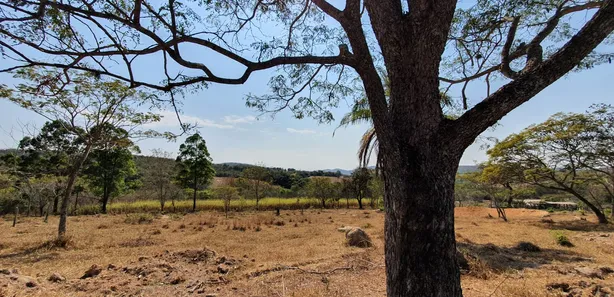 Terreno / Lote / Condomínio à venda, 20000m² no , Fortuna de Minas