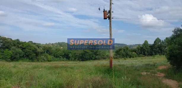 Fazenda / Sítio / Chácara com 5 Quartos à venda, 224500m² no , Piedade