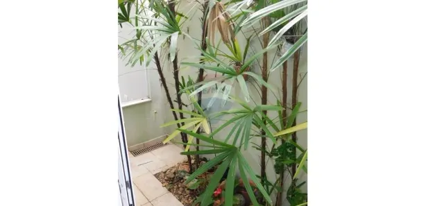 Casa de Condomínio com 4 Quartos para alugar, 146m² no Taboão, São Roque