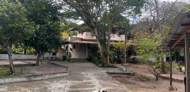 Fazenda / Sítio / Chácara com 5 Quartos à venda, 3600m² no , Conde