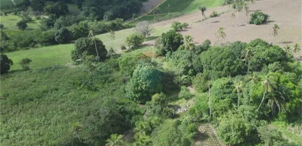 Terreno / Lote Comercial à venda, 90000m² no , Alhandra