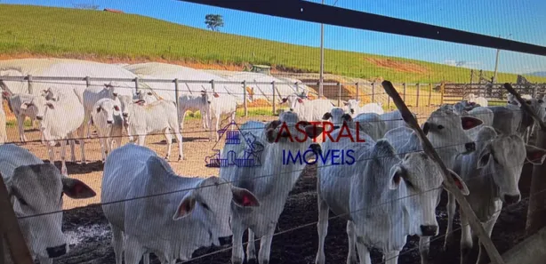 Fazenda / Sítio / Chácara com 5 Quartos à venda, 2565200m² no Chácara Marambaia, Caçapava