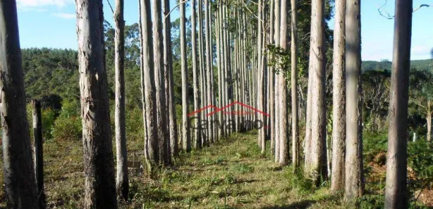 Fazenda / Sítio / Chácara com 5 Quartos à venda, 200m² no , Igaratá