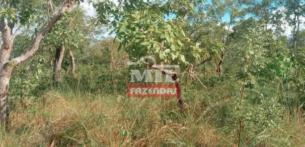 Fazenda / Sítio / Chácara à venda, 500m² no , Guaraí