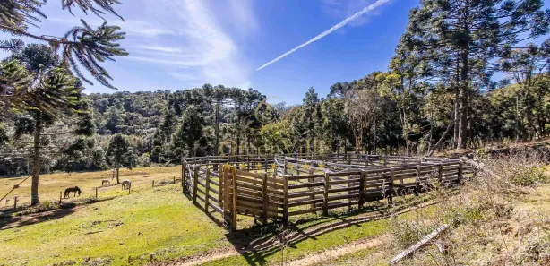 Fazenda / Sítio / Chácara com 5 Quartos à venda, 3681067m² no Zona Rural, Tijucas do Sul