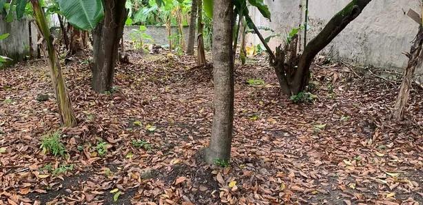 Terreno / Lote / Condomínio à venda, 500m² no Vila Rosário, Duque de Caxias