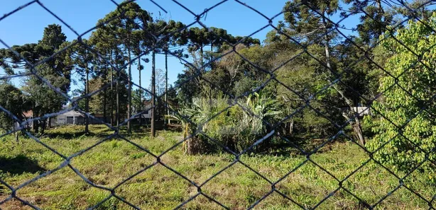 Terreno / Lote / Condomínio à venda, 5856m² no Vila Solene, Campo Largo