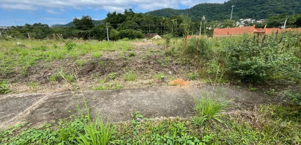 Terreno / Lote / Condomínio à venda, 258m² no Velha Central, Blumenau