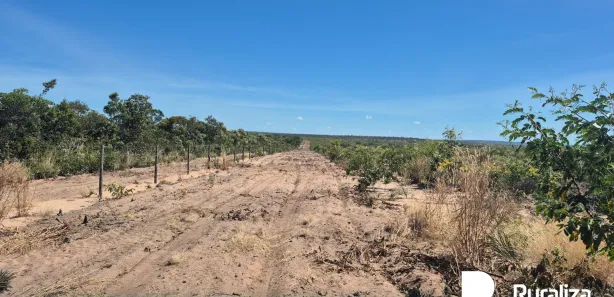 Fazenda / Sítio / Chácara à venda, 3025m² no , Rio Sono
