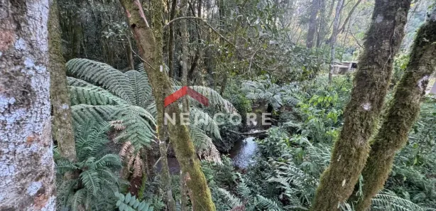 Fazenda / Sítio / Chácara com 1 Quarto à venda, 7286m² no Serrinha, Contenda