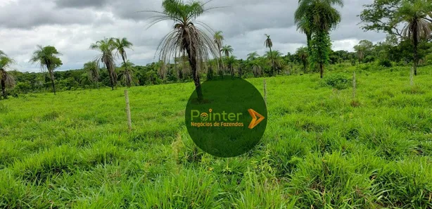 Fazenda / Sítio / Chácara com 3 Quartos à venda, 25748800m² no Parque Residencial Nova Fronteira, Gurupi
