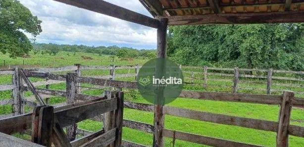 Fazenda / Sítio / Chácara à venda, 11625075m² no , Paranã