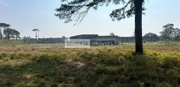 Loja / Salão / Ponto Comercial para alugar, 10000m² no Atuba, Colombo