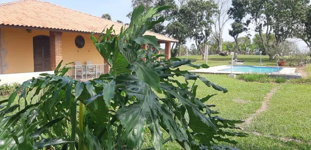 Fazenda / Sítio / Chácara com 3 Quartos à venda, 150m² no , Sarapuí