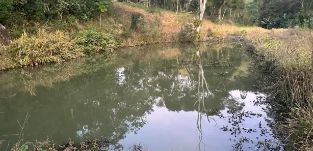 Fazenda / Sítio / Chácara com 3 Quartos à venda, 48000m² no , Igaratá