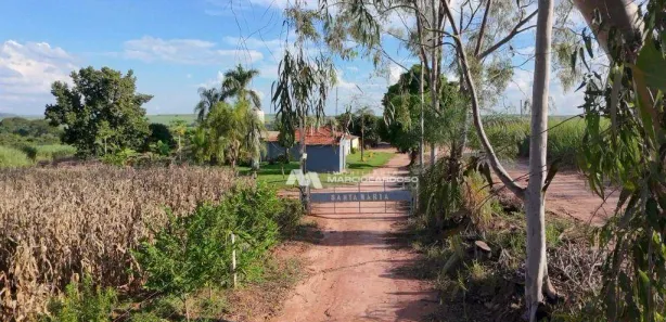 Fazenda / Sítio / Chácara com 3 Quartos à venda, 500m² no Monte Azul Paulista, Monte Azul Paulista