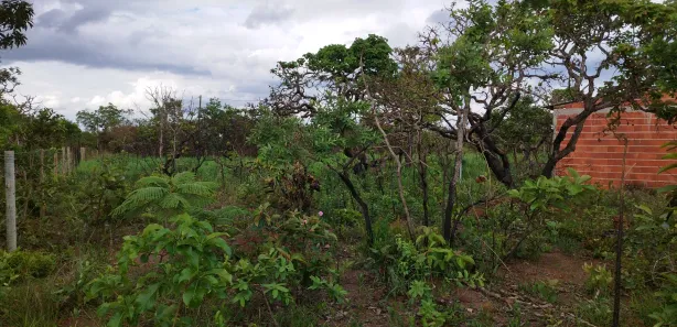 Fazenda / Sítio / Chácara com 1 Quarto à venda, 21000m² no Área Rural do Gama, Brasília