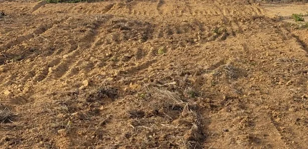 Fazenda / Sítio / Chácara à venda, 3000m² no Praia de Carapibus, Conde
