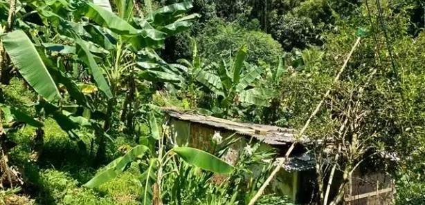 Fazenda / Sítio / Chácara com 3 Quartos à venda, 17779m² no Cadetes Fabres, Guapimirim