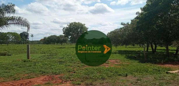 Fazenda / Sítio / Chácara à venda, 2041875m² no , Pium