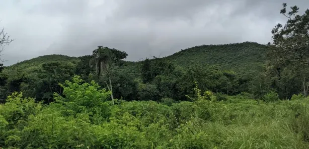 Fazenda / Sítio / Chácara à venda, 1m² no , Paranã