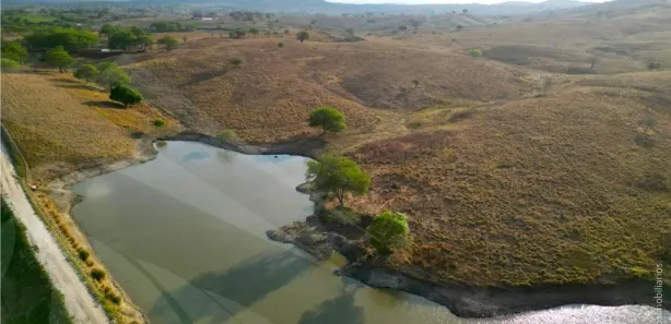 Fazenda / Sítio / Chácara com 4 Quartos à venda, 2950000m² no , Passira
