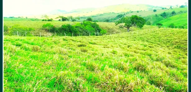 Fazenda / Sítio / Chácara à venda, 586000m² no Centro, Nossa Senhora das Dores