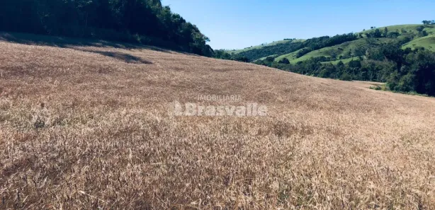 Fazenda / Sítio / Chácara à venda, 20000m² no , Catanduvas
