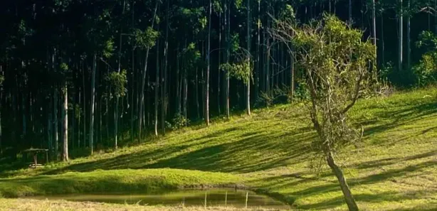 Terreno / Lote / Condomínio à venda, 1000m² no , Alumínio