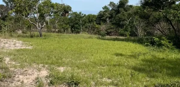 Fazenda / Sítio / Chácara à venda, 2613600m² no , Ponte Alta do Tocantins