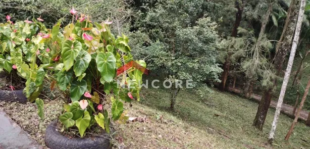 Fazenda / Sítio / Chácara à venda, 273m² no Tanque Caio, Ribeirão Pires