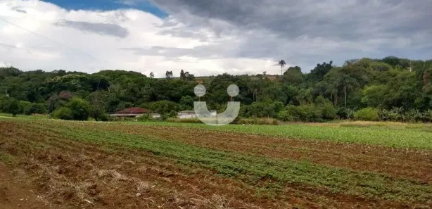 Fazenda / Sítio / Chácara com 3 Quartos à venda, 200m² no Ciriaco, Piedade