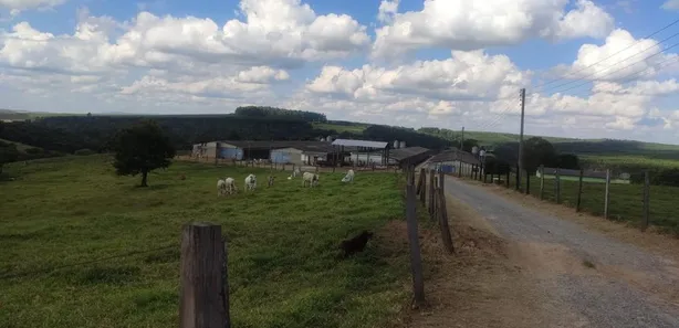 Fazenda / Sítio / Chácara com 4 Quartos à venda, 575000m² no , Alambari