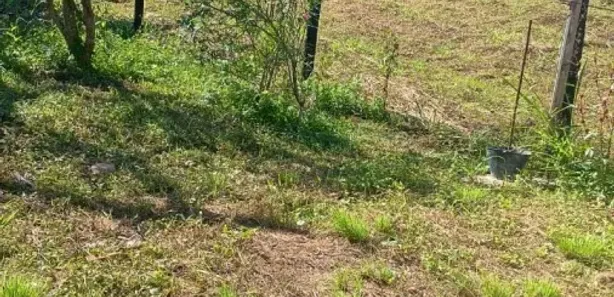 Fazenda / Sítio / Chácara com 1 Quarto à venda, 360m² no Montevidéu, Nova Iguaçu