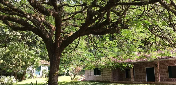 Casa de Condomínio com 5 Quartos à venda, 220m² no , Paraíba do Sul
