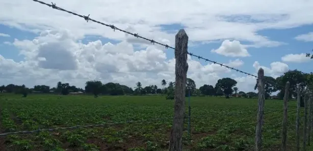 Fazenda / Sítio / Chácara com 3 Quartos à venda, 6000m² no , Vera Cruz