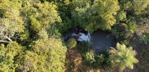 Fazenda / Sítio / Chácara com 1 Quarto à venda, 160000m² no Arapoanga, Brasília