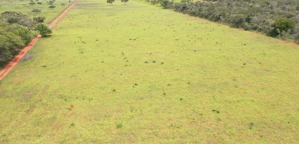 Fazenda / Sítio / Chácara à venda, 130000m² no Arapoanga, Brasília