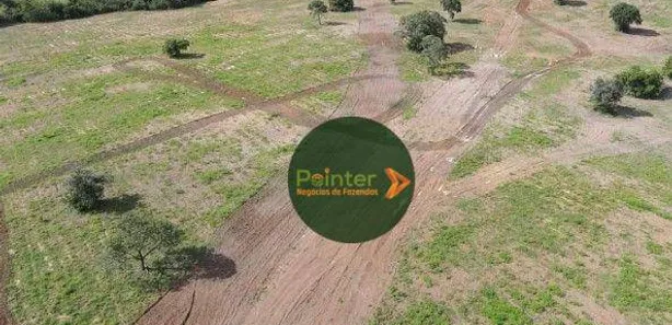 Fazenda / Sítio / Chácara à venda, 10430m² no Setor Central, Gurupi